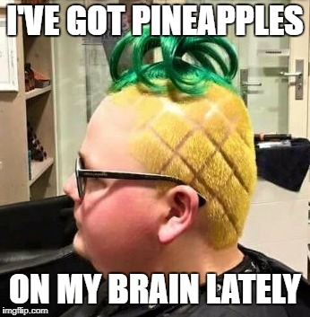 I'VE GOT PINEAPPLES ON MY BRAIN LATELY | made w/ Imgflip meme maker