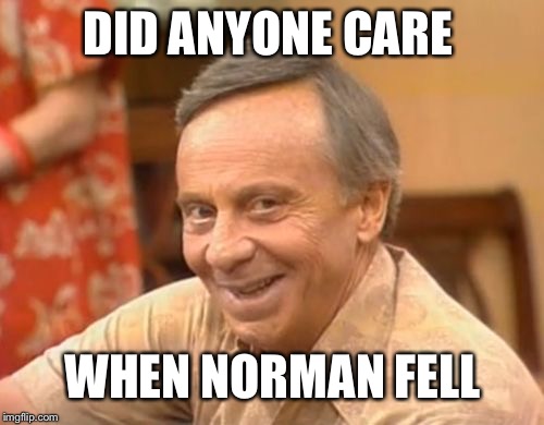 Yeah. I know... | DID ANYONE CARE; WHEN NORMAN FELL | image tagged in memes | made w/ Imgflip meme maker