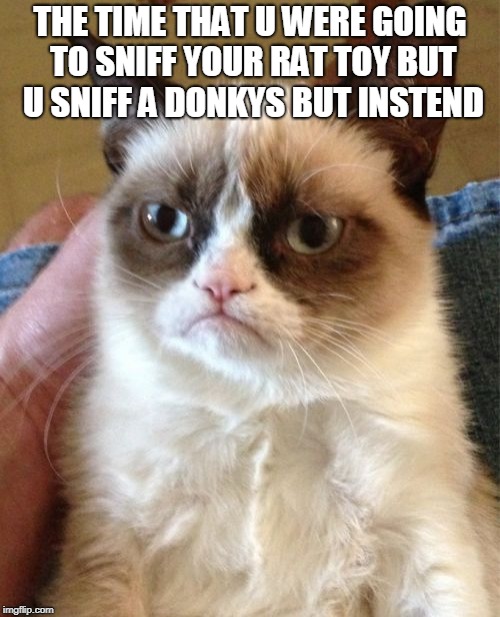 Grumpy Cat | THE TIME THAT U WERE GOING TO SNIFF YOUR RAT TOY BUT U SNIFF A DONKYS BUT INSTEND | image tagged in memes,grumpy cat | made w/ Imgflip meme maker