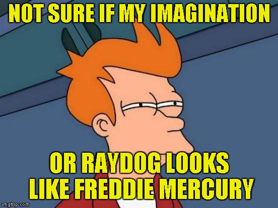 Futurama Fry Meme | NOT SURE IF MY IMAGINATION OR RAYDOG LOOKS LIKE FREDDIE MERCURY | image tagged in memes,futurama fry | made w/ Imgflip meme maker