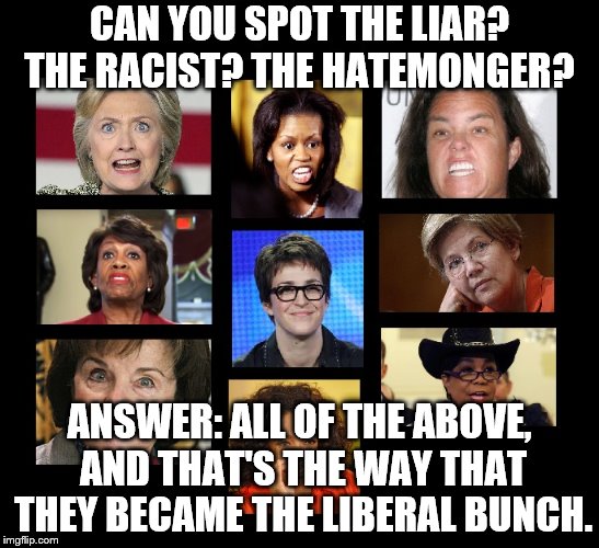 Liberal Women | CAN YOU SPOT THE LIAR? THE RACIST? THE HATEMONGER? ANSWER: ALL OF THE ABOVE, AND THAT'S THE WAY THAT THEY BECAME THE LIBERAL BUNCH. | image tagged in liberal women | made w/ Imgflip meme maker