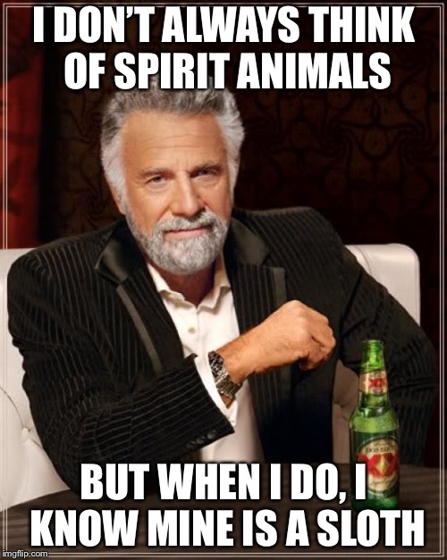 The Most Interesting Man In The World Meme | I DON’T ALWAYS THINK OF SPIRIT ANIMALS BUT WHEN I DO, I KNOW MINE IS A SLOTH | image tagged in memes,the most interesting man in the world | made w/ Imgflip meme maker