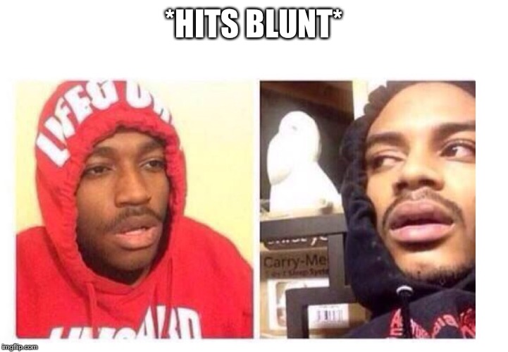 Hits blunt | *HITS BLUNT* | image tagged in hits blunt | made w/ Imgflip meme maker