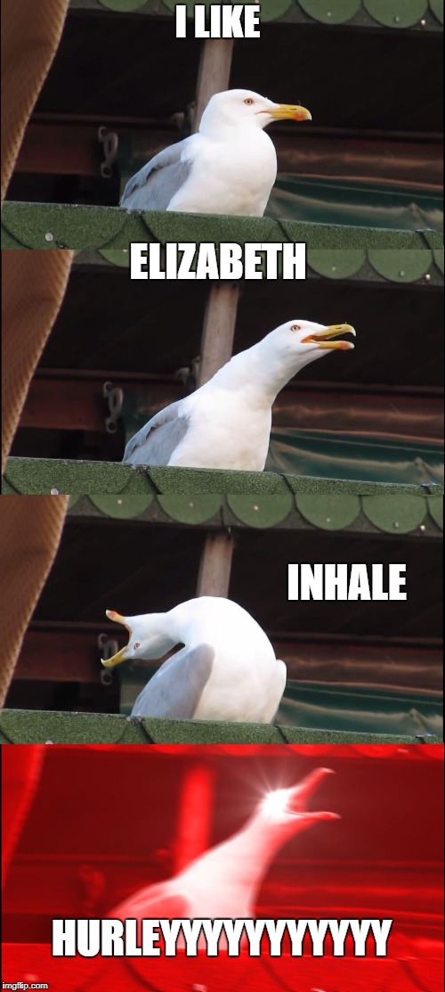 damn seagull  | I LIKE; ELIZABETH; INHALE; HURLEYYYYYYYYYYY | image tagged in memes,inhaling seagull | made w/ Imgflip meme maker