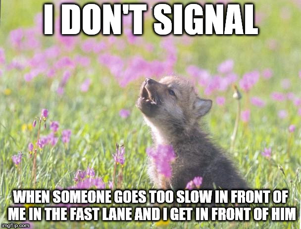 Baby Insanity Wolf | I DON'T SIGNAL; WHEN SOMEONE GOES TOO SLOW IN FRONT OF ME IN THE FAST LANE AND I GET IN FRONT OF HIM | image tagged in memes,baby insanity wolf,AdviceAnimals | made w/ Imgflip meme maker