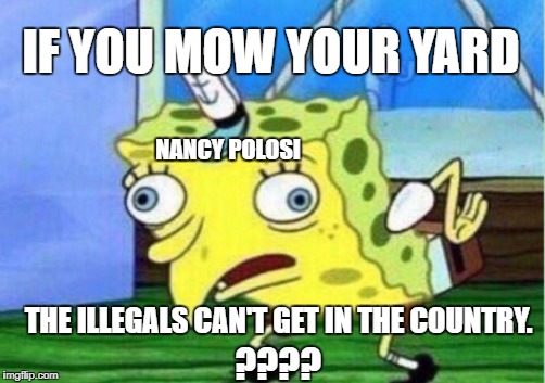 Mocking Spongebob Meme | IF YOU MOW YOUR YARD; NANCY POLOSI; THE ILLEGALS CAN'T GET IN THE COUNTRY. ???? | image tagged in memes,mocking spongebob | made w/ Imgflip meme maker