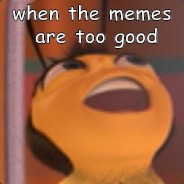 Ya like memes | when the memes are too good | image tagged in bee,memes,laughing | made w/ Imgflip meme maker