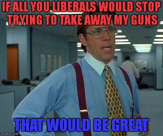 gun lives matter | IF ALL YOU LIBERALS WOULD STOP TRYING TO TAKE AWAY MY GUNS; THAT WOULD BE GREAT | image tagged in memes,that would be great,liberal vs conservative,gun rights | made w/ Imgflip meme maker