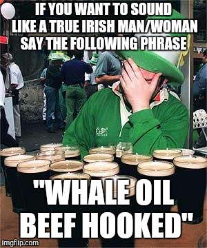 'Full' Irish | IF YOU WANT TO SOUND LIKE A TRUE IRISH MAN/WOMAN SAY THE FOLLOWING PHRASE; "WHALE OIL BEEF HOOKED" | image tagged in 'full' irish | made w/ Imgflip meme maker