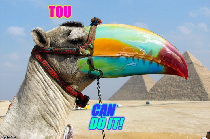 TOU DO IT! CAN | made w/ Imgflip meme maker