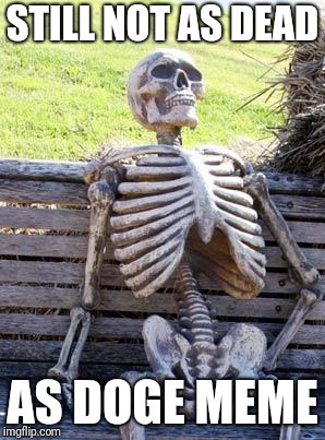Waiting Skeleton Meme | STILL NOT AS DEAD AS DOGE MEME | image tagged in memes,waiting skeleton | made w/ Imgflip meme maker