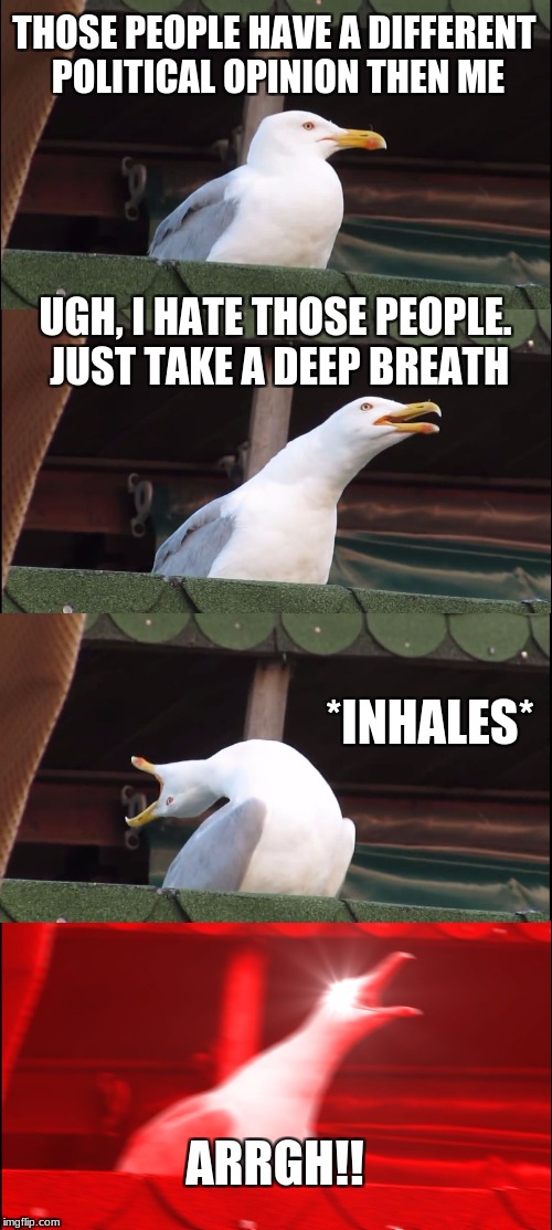 other opinions | THOSE PEOPLE HAVE A DIFFERENT POLITICAL OPINION THEN ME; UGH, I HATE THOSE PEOPLE. JUST TAKE A DEEP BREATH; *INHALES*; ARRGH!! | image tagged in memes,inhaling seagull,political opinions | made w/ Imgflip meme maker