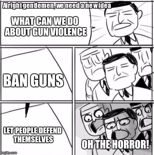 Anti gun people be like | WHAT CAN WE DO ABOUT GUN VIOLENCE; BAN GUNS; LET PEOPLE DEFEND THEMSELVES; OH THE HORROR! | image tagged in memes,alright gentlemen we need a new idea,guns | made w/ Imgflip meme maker