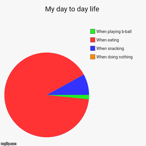 My day to day life | When doing nothing, When snacking, When eating, When playing b-ball | image tagged in funny,pie charts | made w/ Imgflip chart maker