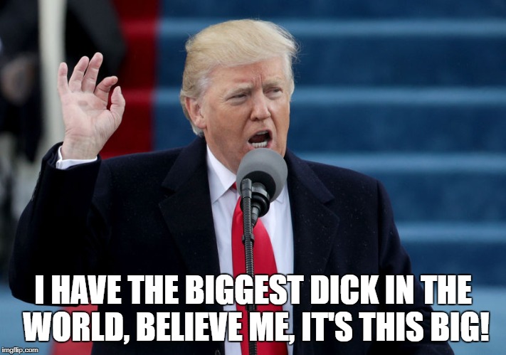 Donald trump speech | I HAVE THE BIGGEST DICK IN THE WORLD, BELIEVE ME, IT'S THIS BIG! | image tagged in donald trump speech | made w/ Imgflip meme maker