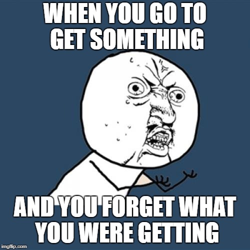 Y U No Meme | WHEN YOU GO TO GET SOMETHING; AND YOU FORGET WHAT YOU WERE GETTING | image tagged in memes,y u no | made w/ Imgflip meme maker