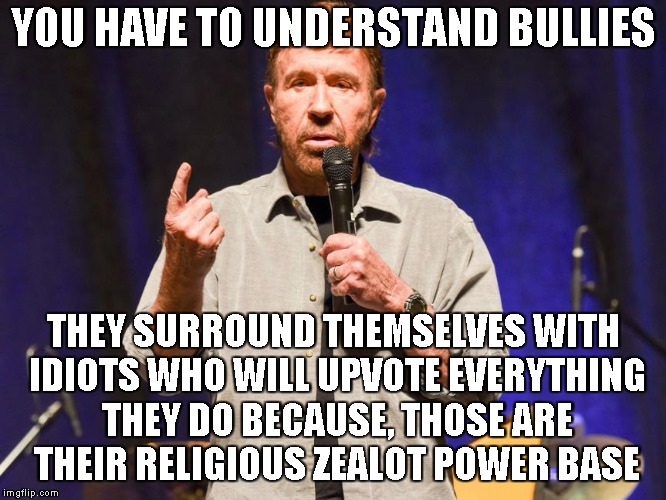 True In The Real World, True In The Memeingverse, Expose A Bully & Never Back Down | YOU HAVE TO UNDERSTAND BULLIES; THEY SURROUND THEMSELVES WITH IDIOTS WHO WILL UPVOTE EVERYTHING THEY DO BECAUSE, THOSE ARE THEIR RELIGIOUS ZEALOT POWER BASE | image tagged in bully,chuck norris,imgflip,imgflip users,stupid people,idiots | made w/ Imgflip meme maker