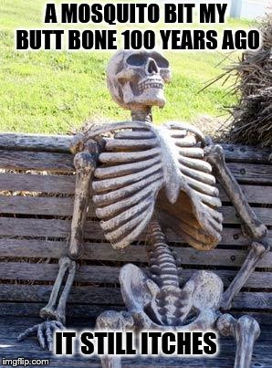 Waiting Skeleton | A MOSQUITO BIT MY BUTT BONE 100 YEARS AGO; IT STILL ITCHES | image tagged in memes,waiting skeleton | made w/ Imgflip meme maker
