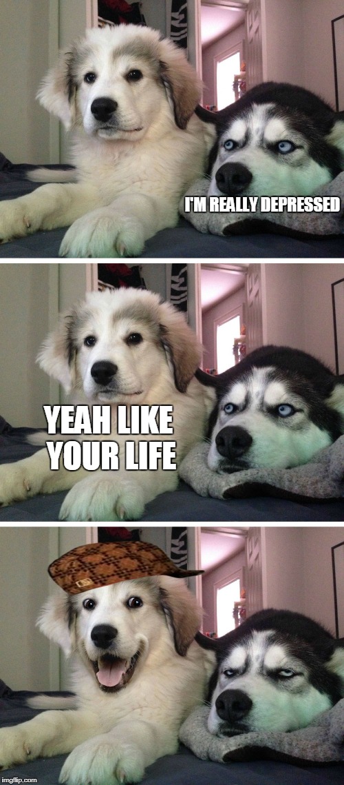 Upset Husky | I'M REALLY DEPRESSED; YEAH LIKE YOUR LIFE | image tagged in upset husky,scumbag | made w/ Imgflip meme maker