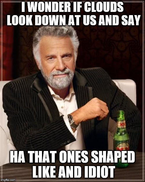 The Most Interesting Man In The World Meme | I WONDER IF CLOUDS LOOK DOWN AT US AND SAY; HA THAT ONES SHAPED LIKE AND IDIOT | image tagged in memes,the most interesting man in the world | made w/ Imgflip meme maker