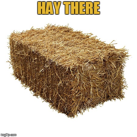 HAY THERE | made w/ Imgflip meme maker