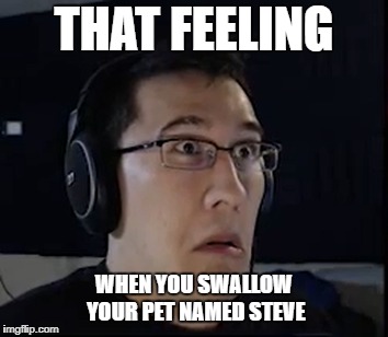 Remade this meme in a good way. | THAT FEELING; WHEN YOU SWALLOW YOUR PET NAMED STEVE | image tagged in markiplier,a pet named steve,sudden realization | made w/ Imgflip meme maker