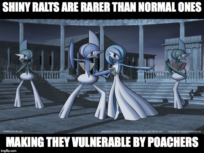 Shiny Ralts | SHINY RALTS ARE RARER THAN NORMAL ONES; MAKING THEY VULNERABLE BY POACHERS | image tagged in pokemon,gallade,gradevoir,memes | made w/ Imgflip meme maker