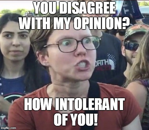 YOU DISAGREE WITH MY OPINION? HOW INTOLERANT OF YOU! | made w/ Imgflip meme maker