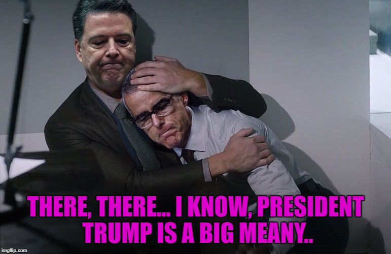 Comey, Mcabe | THERE, THERE... I KNOW, PRESIDENT TRUMP IS A BIG MEANY.. | image tagged in fbi director james comey | made w/ Imgflip meme maker