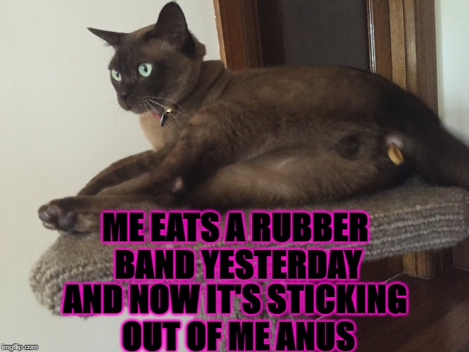 ME EATS A RUBBER BAND YESTERDAY; AND NOW IT'S STICKING OUT OF ME ANUS | image tagged in rubber anus | made w/ Imgflip meme maker