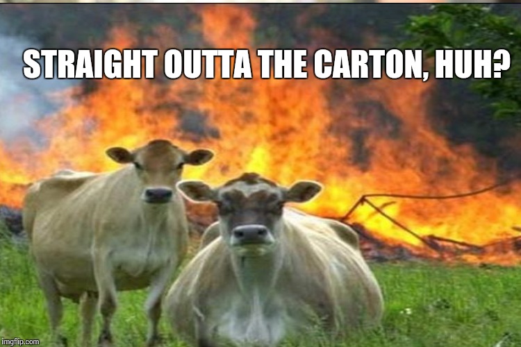 STRAIGHT OUTTA THE CARTON, HUH? | made w/ Imgflip meme maker