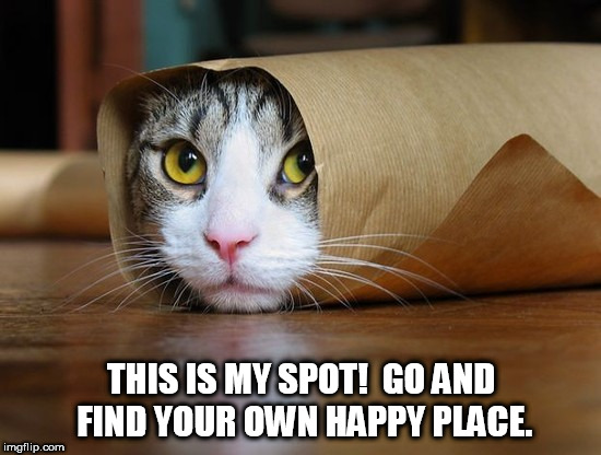 cute and funny animal pictures 6 | THIS IS MY SPOT!  GO AND FIND YOUR OWN HAPPY PLACE. | image tagged in cute and funny animal pictures 6 | made w/ Imgflip meme maker