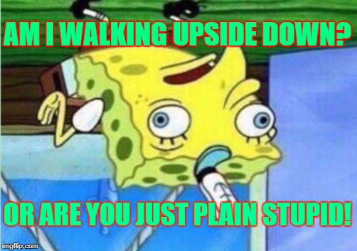 Mocking Spongebob Meme | AM I WALKING UPSIDE DOWN? OR ARE YOU JUST PLAIN STUPID! | image tagged in memes,mocking spongebob | made w/ Imgflip meme maker