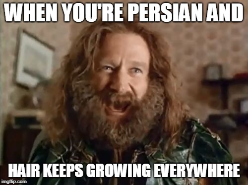 What Year Is It Meme | WHEN YOU'RE PERSIAN AND; HAIR KEEPS GROWING EVERYWHERE | image tagged in memes,what year is it | made w/ Imgflip meme maker