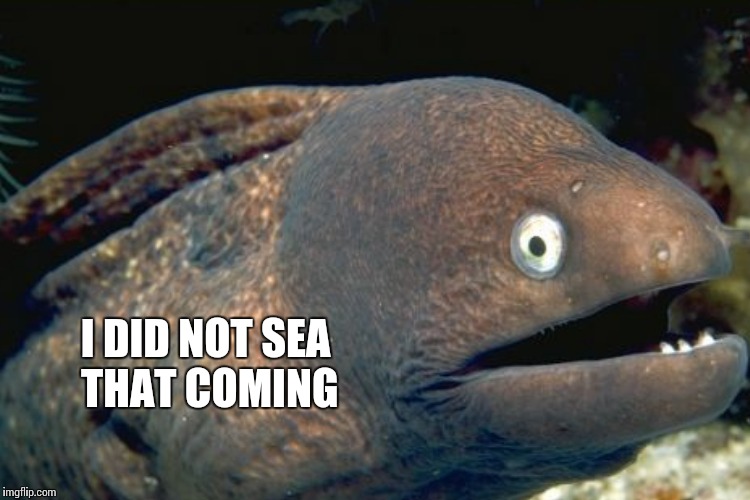 I DID NOT SEA THAT COMING | made w/ Imgflip meme maker