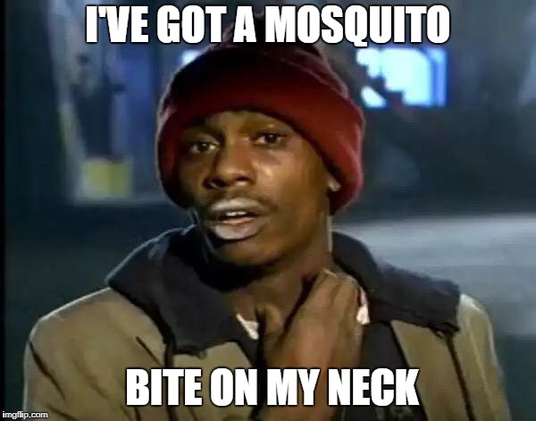 Y'all Got Any More Of That Meme | I'VE GOT A MOSQUITO; BITE ON MY NECK | image tagged in memes,y'all got any more of that | made w/ Imgflip meme maker