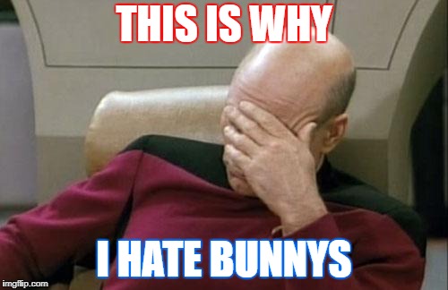 Captain Picard Facepalm Meme | THIS IS WHY; I HATE BUNNYS | image tagged in memes,captain picard facepalm | made w/ Imgflip meme maker