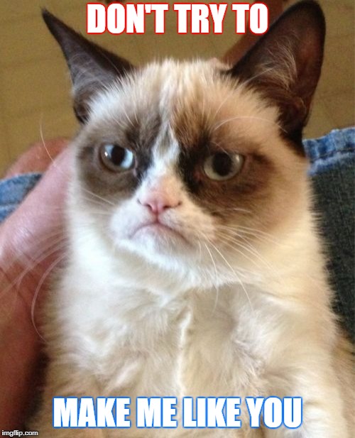 I don't like you | DON'T TRY TO; MAKE ME LIKE YOU | image tagged in memes,grumpy cat | made w/ Imgflip meme maker