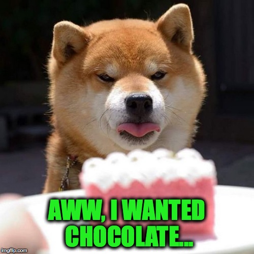 Doge Has Preferences... | AWW, I WANTED CHOCOLATE... | image tagged in raspberry to strawberry | made w/ Imgflip meme maker