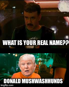 WHAT IS YOUR REAL NAME?? DONALD MUSHWASHHUNDS | made w/ Imgflip meme maker