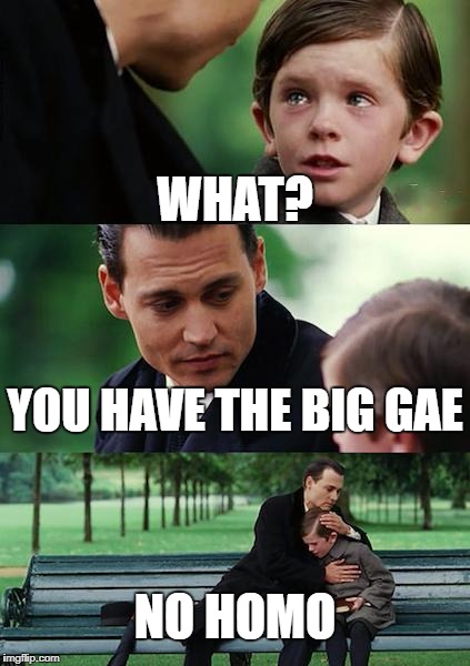 Finding Neverland Meme | WHAT? YOU HAVE THE BIG GAE; NO HOMO | image tagged in memes,finding neverland | made w/ Imgflip meme maker