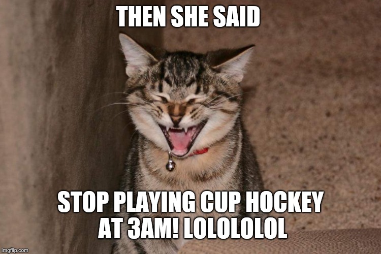 Lol cat | THEN SHE SAID; STOP PLAYING CUP HOCKEY AT 3AM! LOLOLOLOL | image tagged in lol cat | made w/ Imgflip meme maker