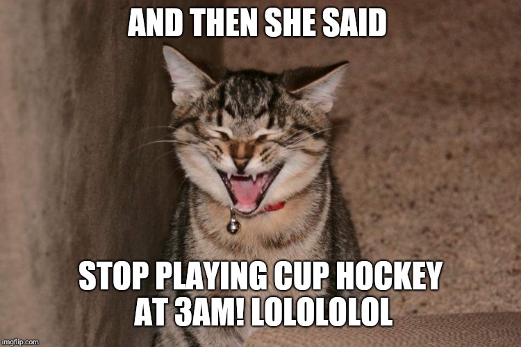 AND THEN SHE SAID; STOP PLAYING CUP HOCKEY AT 3AM! LOLOLOLOL | image tagged in lol cat | made w/ Imgflip meme maker