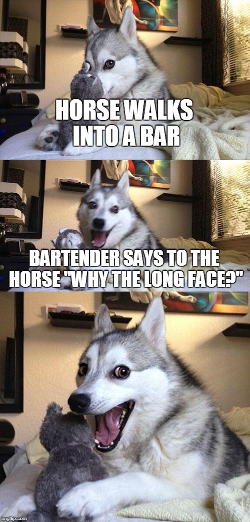 Bad Pun Dog Meme | HORSE WALKS INTO A BAR; BARTENDER SAYS TO THE HORSE "WHY THE LONG FACE?" | image tagged in memes,bad pun dog | made w/ Imgflip meme maker