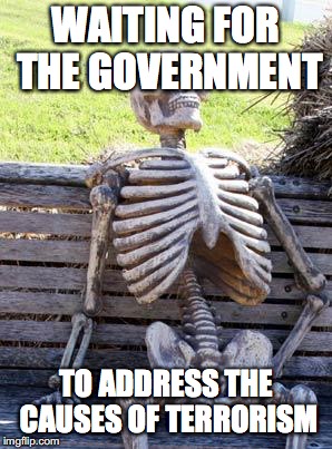 Waiting Skeleton Meme | WAITING FOR THE GOVERNMENT; TO ADDRESS THE CAUSES OF TERRORISM | image tagged in memes,waiting skeleton | made w/ Imgflip meme maker