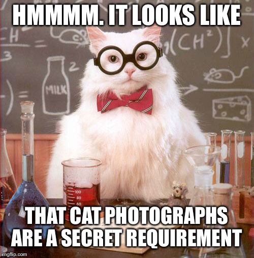 Science Cat | HMMMM. IT LOOKS LIKE; THAT CAT PHOTOGRAPHS ARE A SECRET REQUIREMENT | image tagged in science cat | made w/ Imgflip meme maker