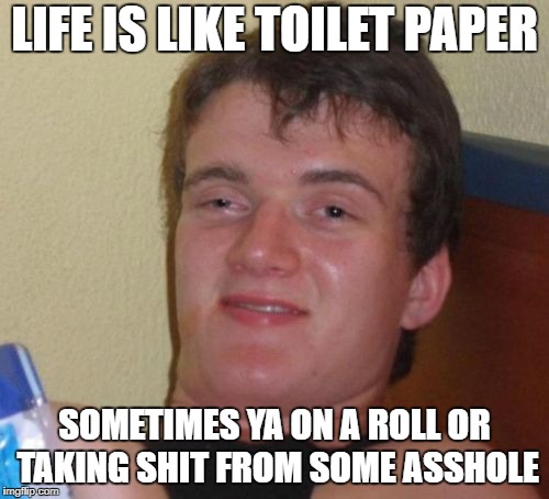 10 Guy | LIFE IS LIKE TOILET PAPER; SOMETIMES YA ON A ROLL OR TAKING SHIT FROM SOME ASSHOLE | image tagged in memes,10 guy | made w/ Imgflip meme maker