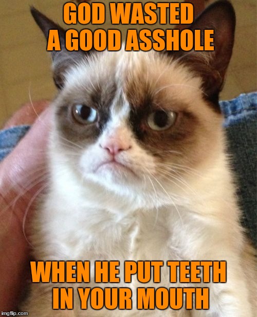 Grumpy Cat | GOD WASTED A GOOD ASSHOLE; WHEN HE PUT TEETH IN YOUR MOUTH | image tagged in memes,grumpy cat | made w/ Imgflip meme maker