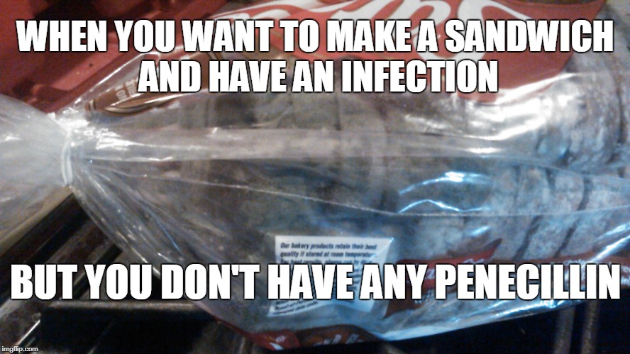 WHEN YOU WANT TO MAKE A SANDWICH AND HAVE AN INFECTION; BUT YOU DON'T HAVE ANY PENECILLIN | image tagged in penicillin bread | made w/ Imgflip meme maker