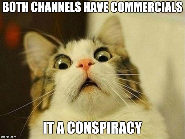 Conspiracy | BOTH CHANNELS HAVE COMMERCIALS; IT A CONSPIRACY | image tagged in memes,scared cat,conspiracy theory | made w/ Imgflip meme maker